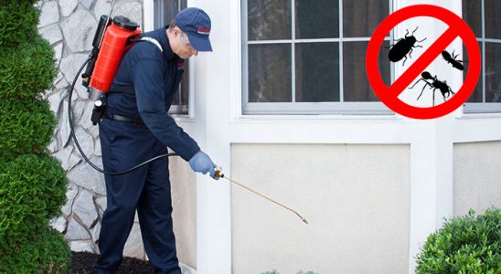 Kozlu Gümüşkurt İlaçlama böcek ilaçlama ve haşere kontrolü — ilaclama-tr.com